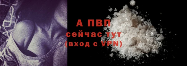 дживик Медвежьегорск