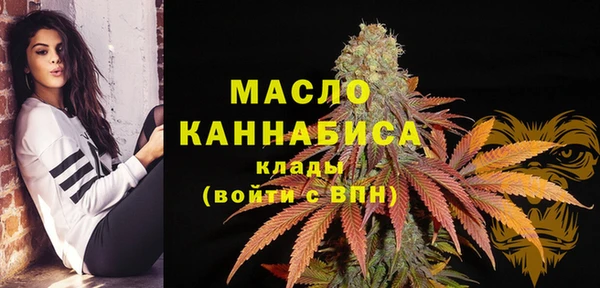 дживик Медвежьегорск