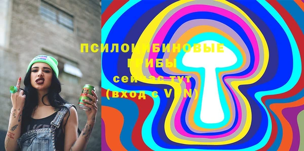 ешки Мегион