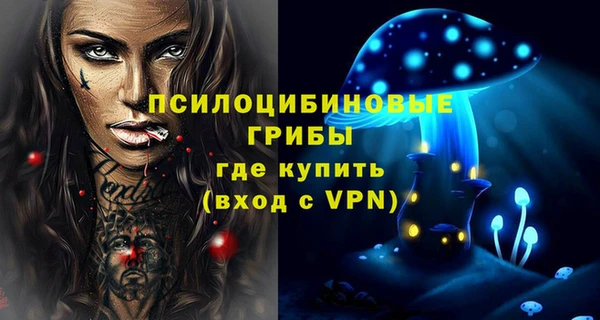 дживик Медвежьегорск