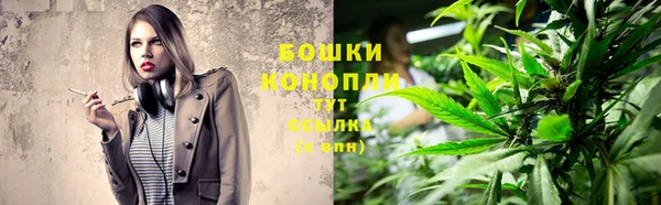 дживик Медвежьегорск