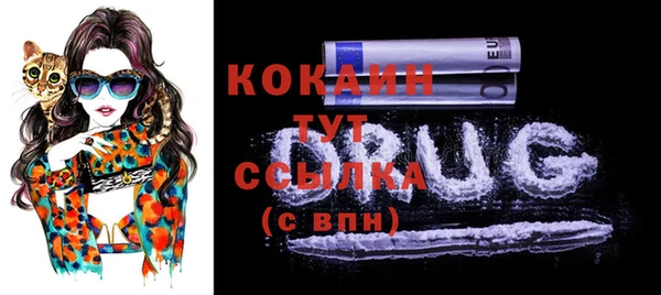 ешки Мегион