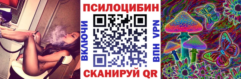 Псилоцибиновые грибы GOLDEN TEACHER Цоци-Юрт