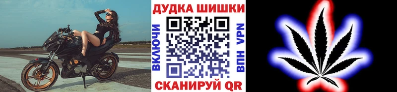 где продают Цоци-Юрт Канабис VHQ